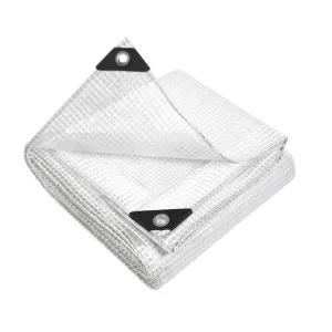 2Mx3M Tarp Heavy Duty Cover 135Gsm Clear