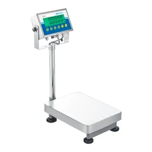 Adam Equipment AGF 175a AGF Series Floor Scale, 80000 g x 2 g