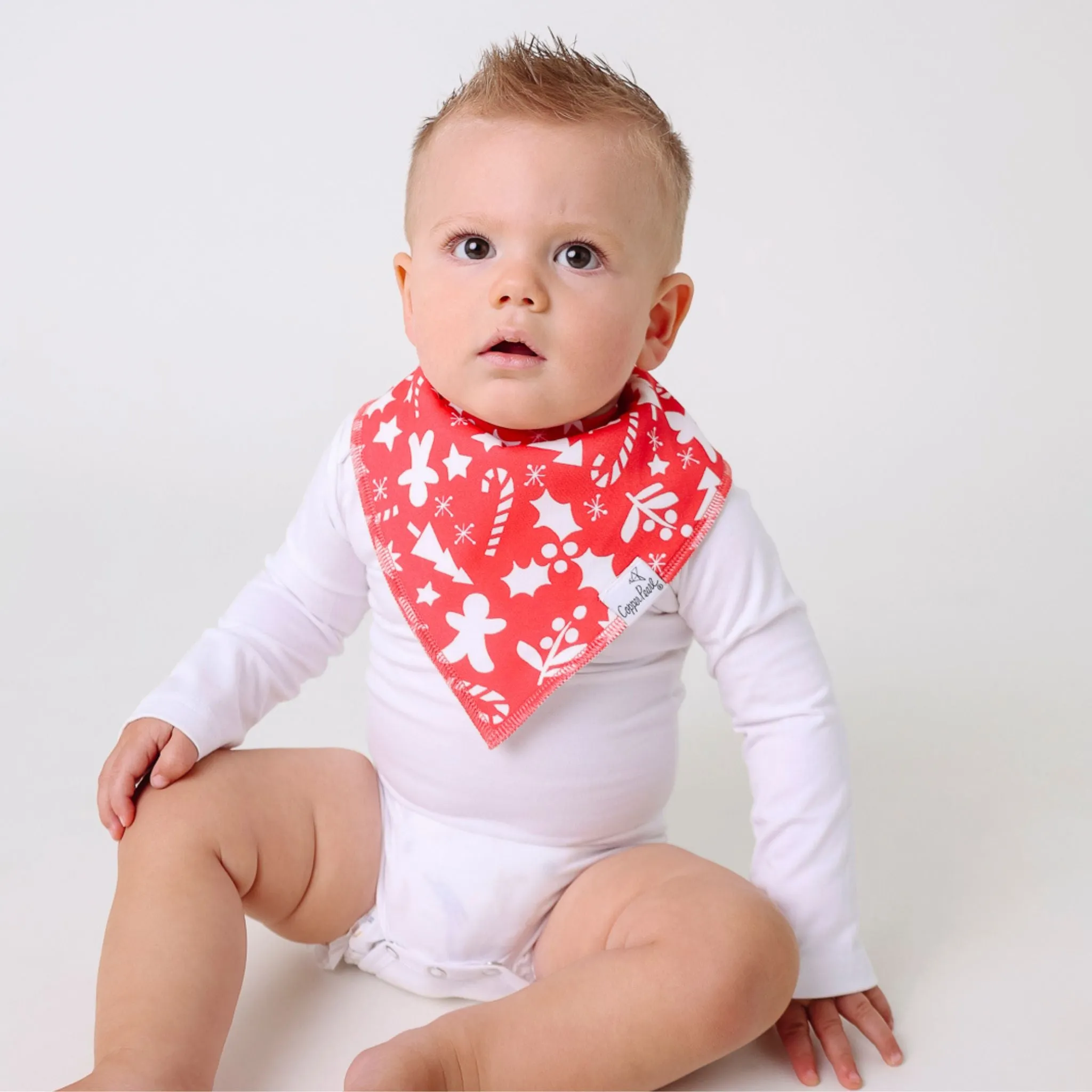 Baby Bandana Bibs - Jolly