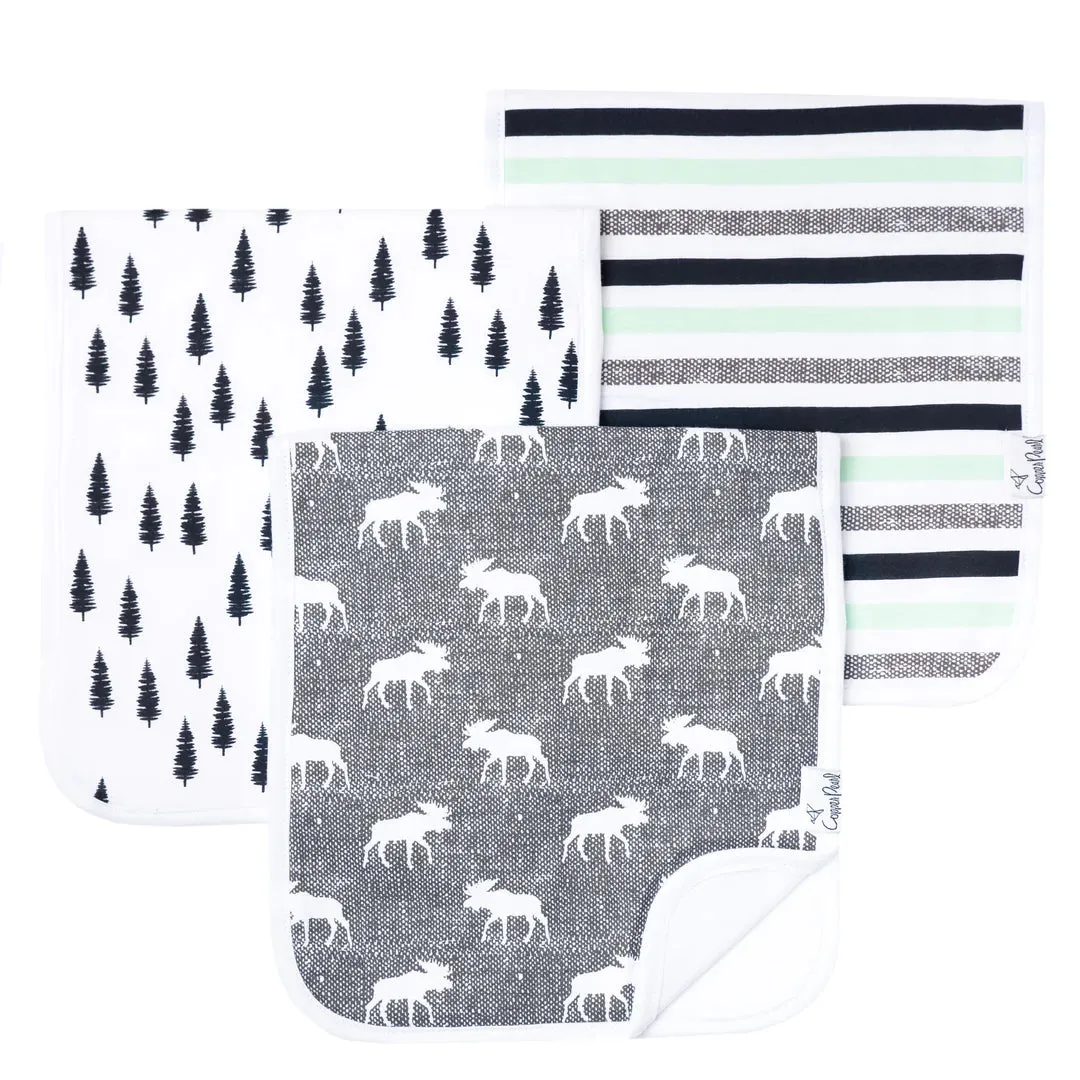 BURP CLOTH SET (click for more colors)