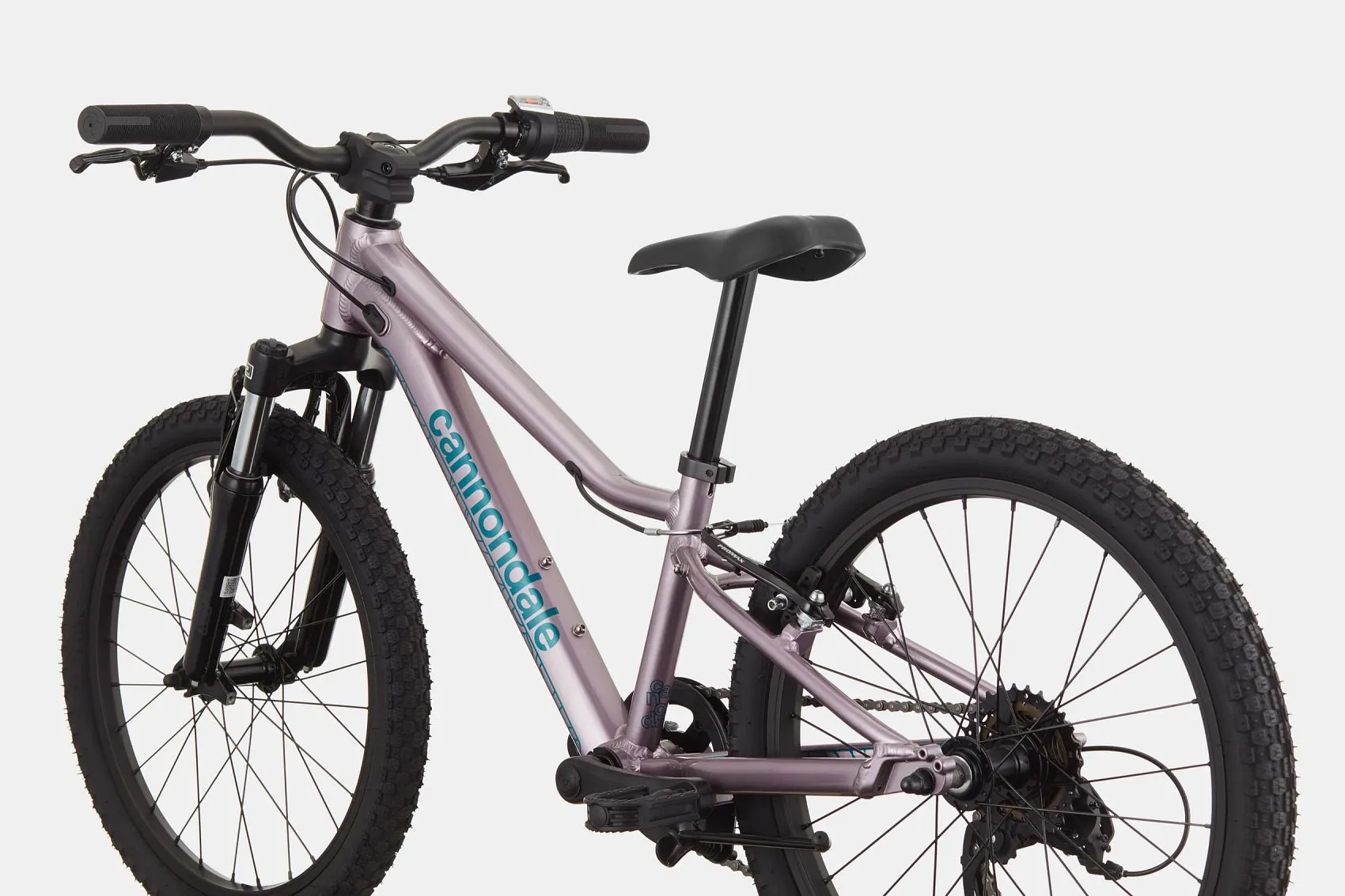Cannondale Trail 20