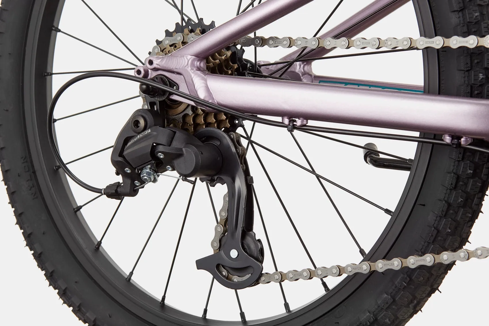 Cannondale Trail 20