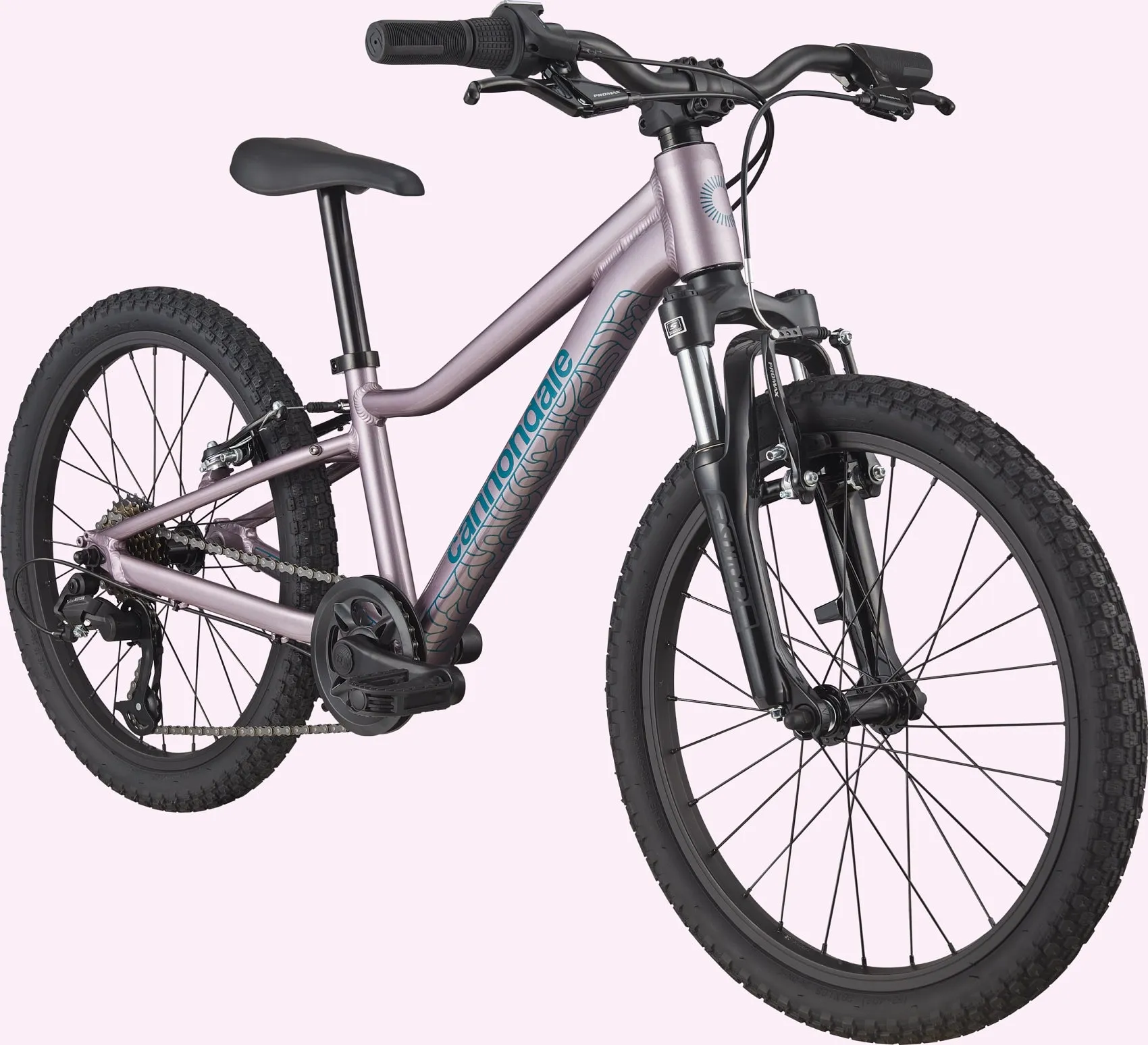 Cannondale Trail 20