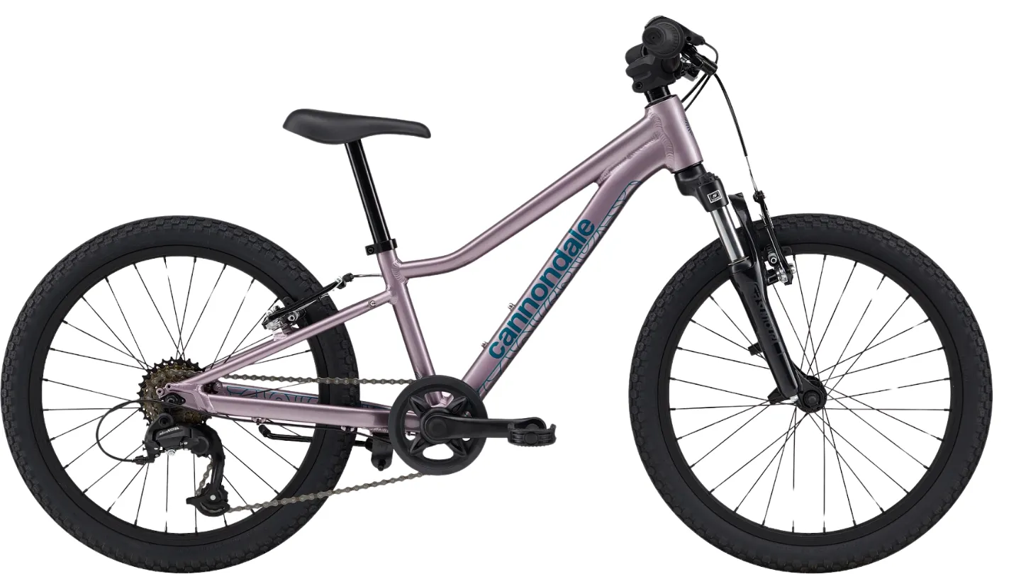 Cannondale Trail 20