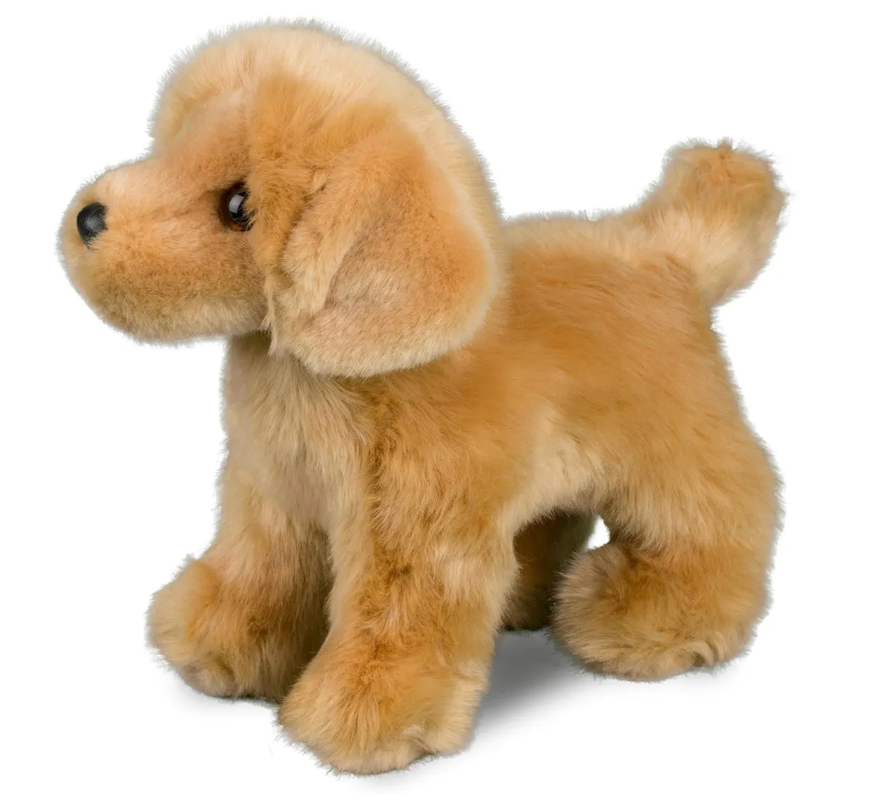 Douglas - Chap Golden Retriever