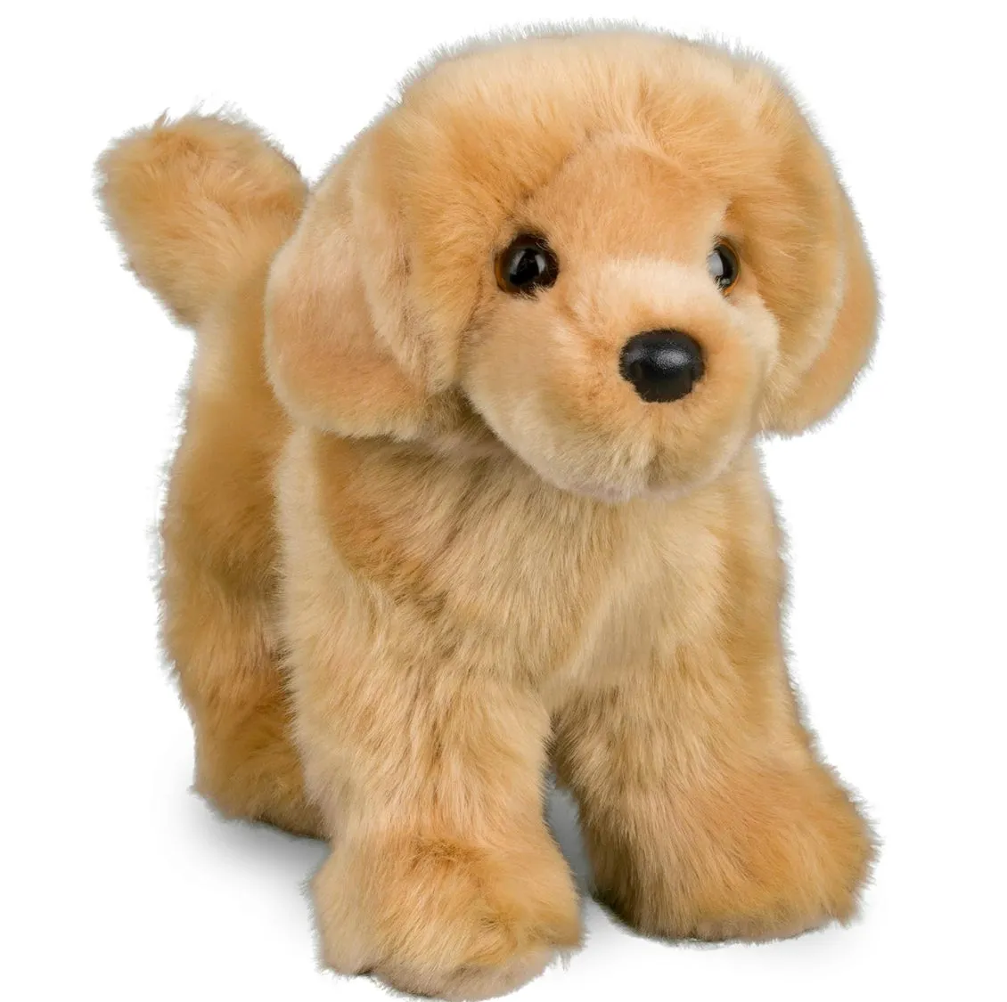 Douglas - Chap Golden Retriever