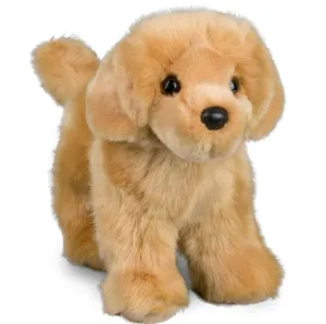 Douglas - Chap Golden Retriever
