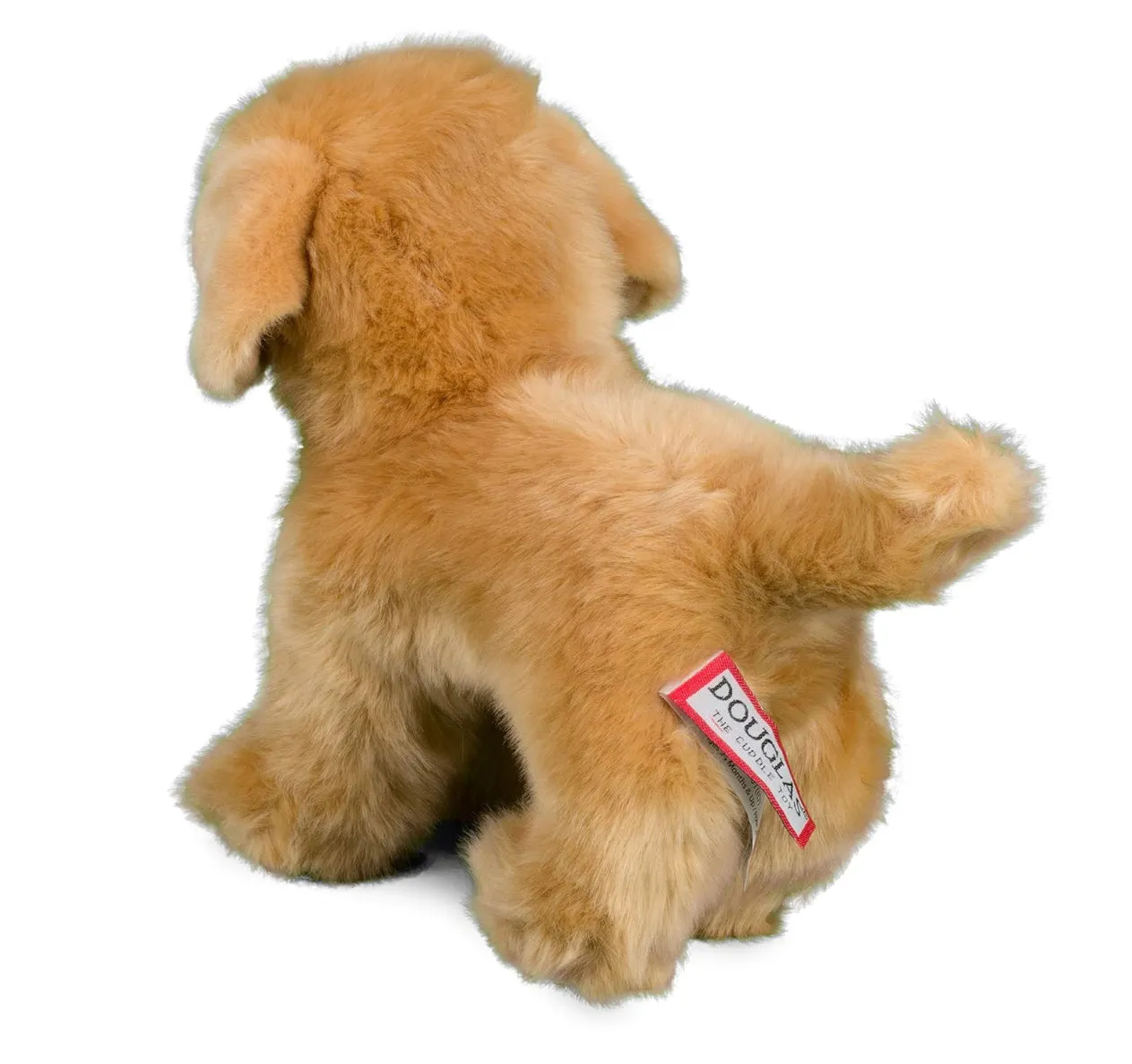 Douglas - Chap Golden Retriever