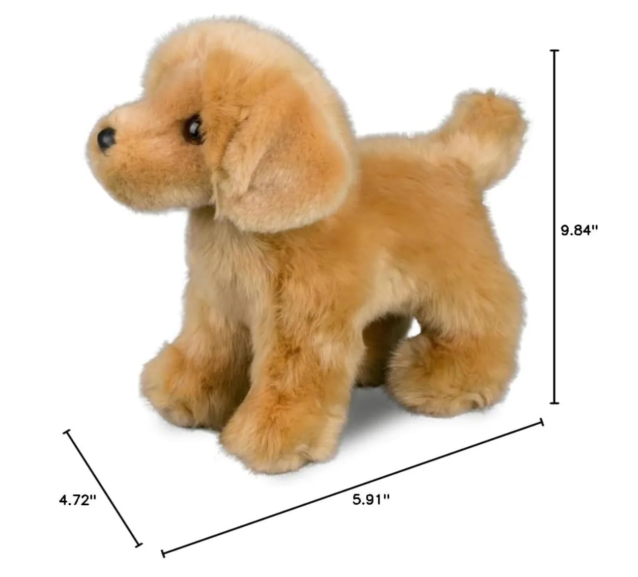 Douglas - Chap Golden Retriever
