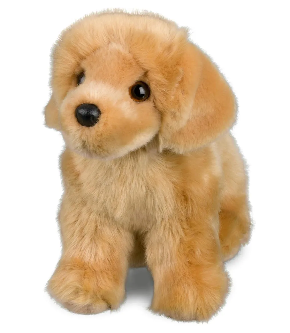 Douglas - Chap Golden Retriever