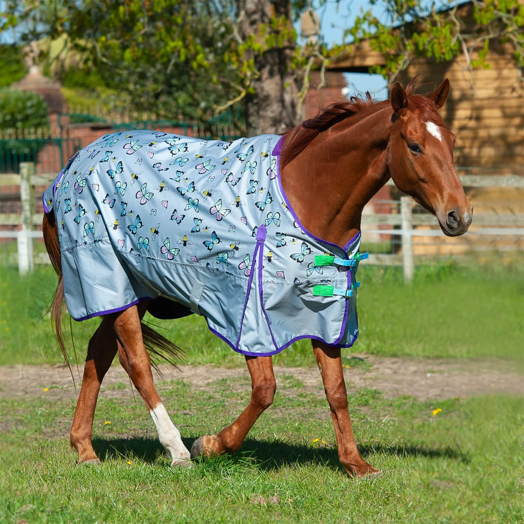 Gallop Equestrian Trojan Bees & Butterflies Lightweight Turnout