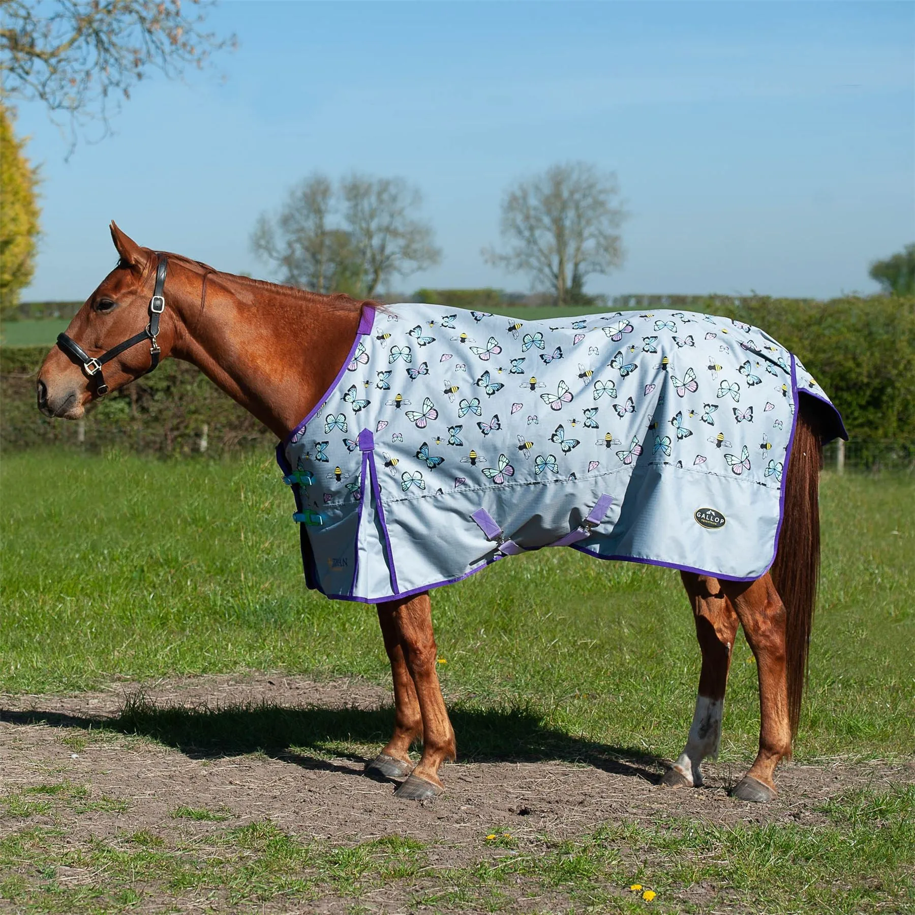 Gallop Equestrian Trojan Bees & Butterflies Lightweight Turnout