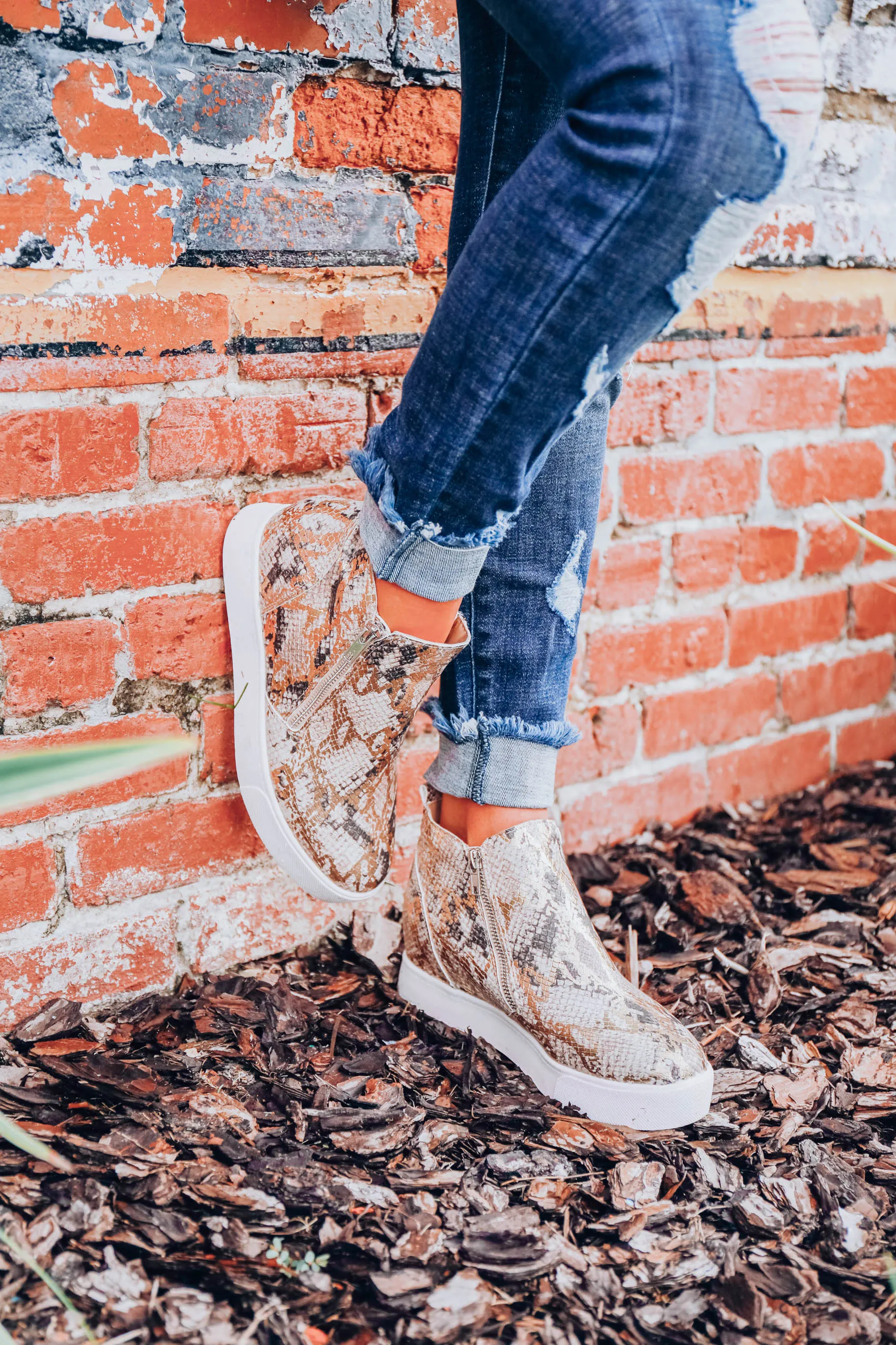 Gleaming Zip Up Platform Sneaker - Snake Print