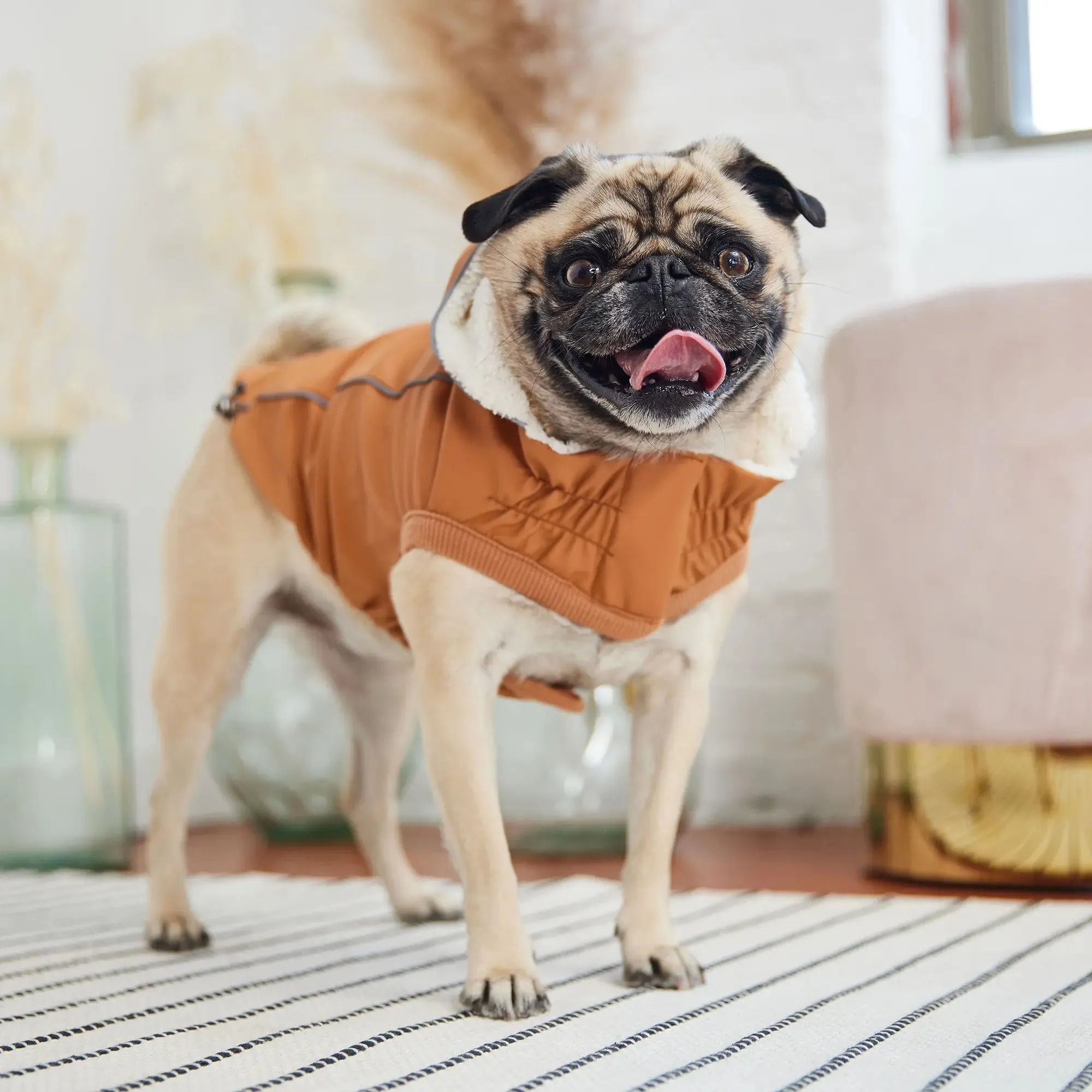 Insulated Dog Raincoat | Hazel