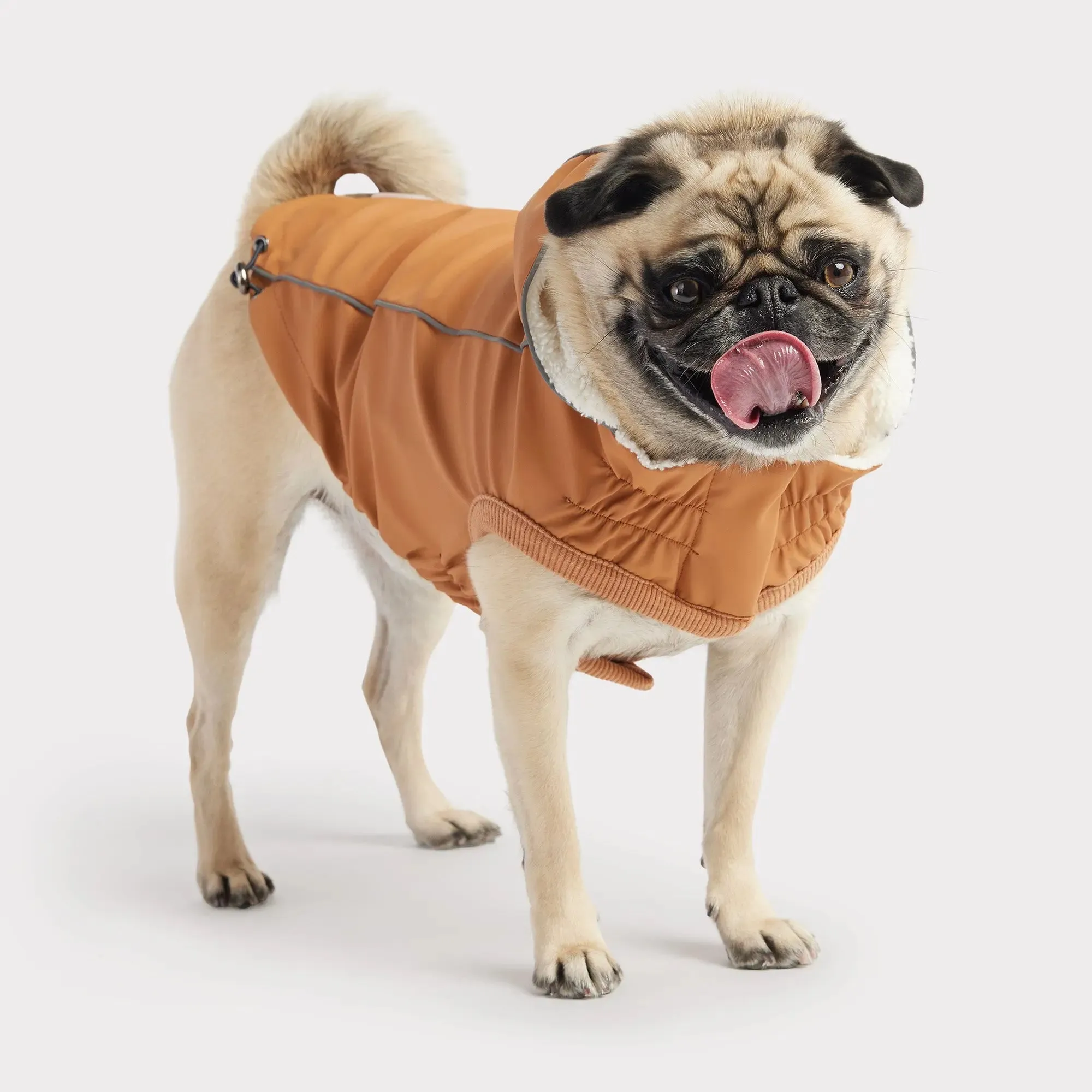 Insulated Dog Raincoat | Hazel