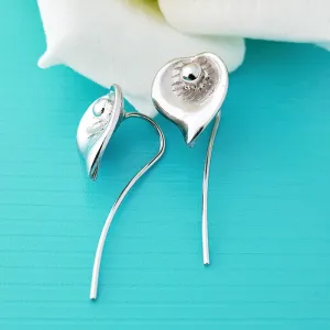Just Lil Things Silver Drop Earrings jlt11574