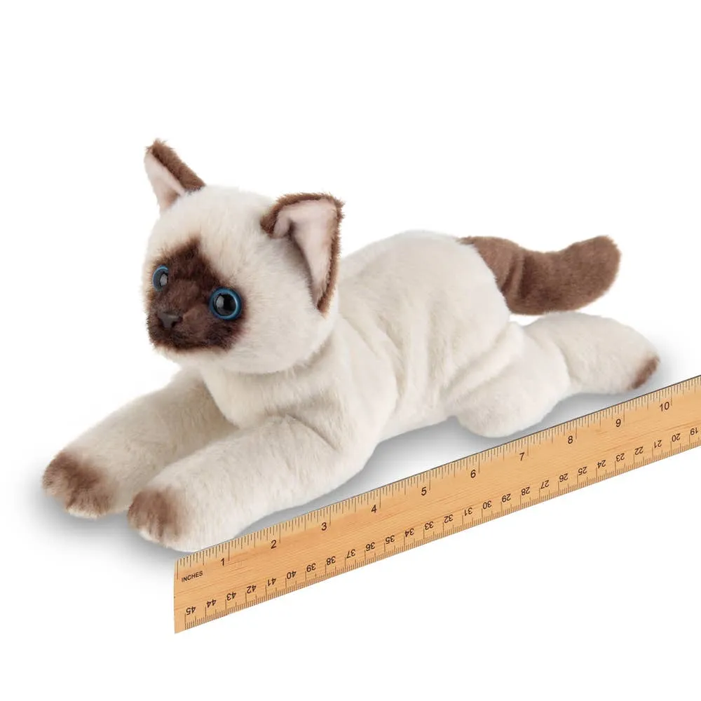 Lil' Cleo the Siamese Cat