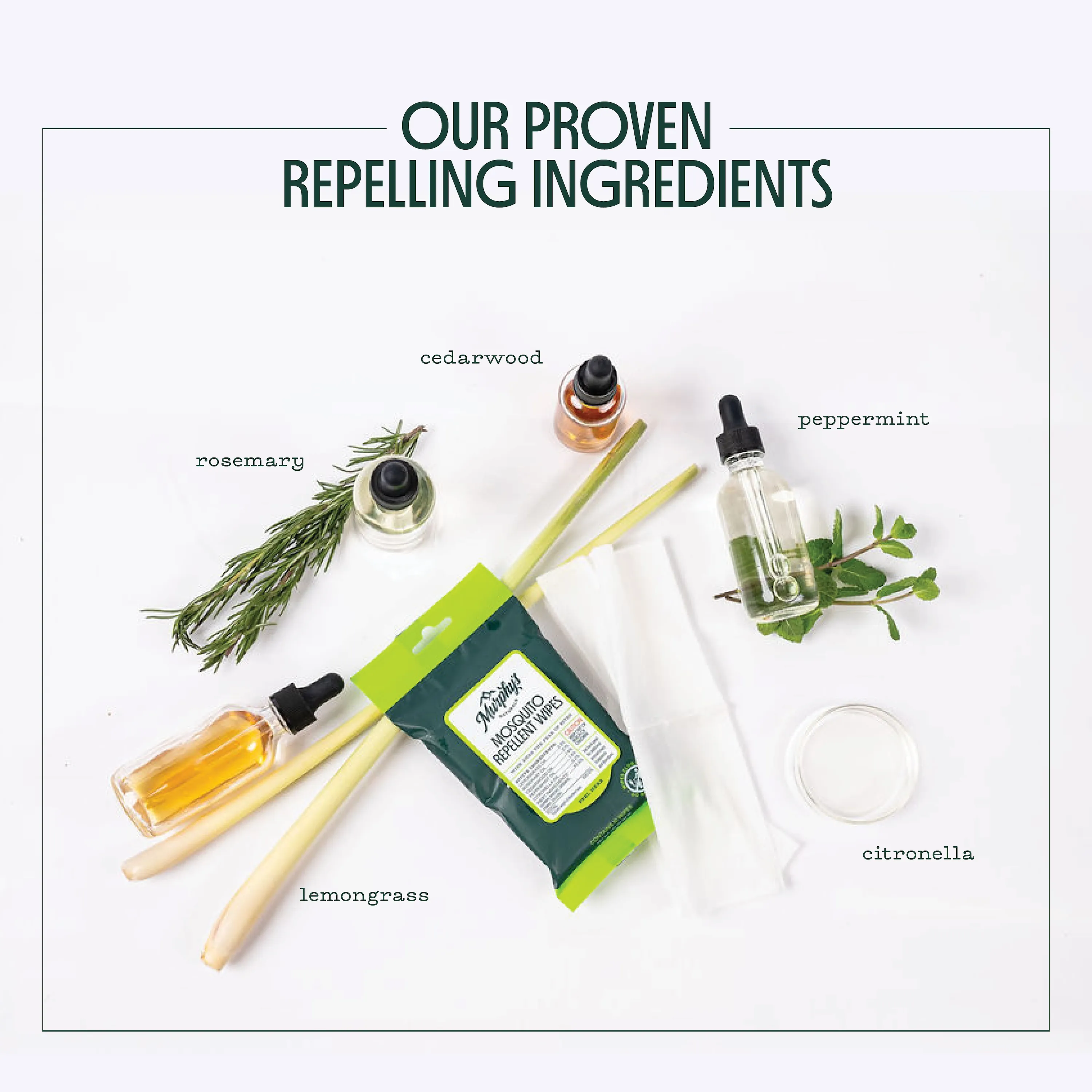MOSQUITO REPELLENT WIPES