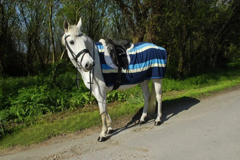Rhinegold Fleece 3/4 Ride On Rug
