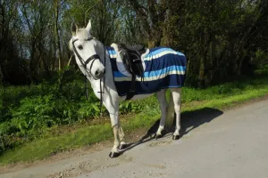 Rhinegold Fleece 3/4 Ride On Rug