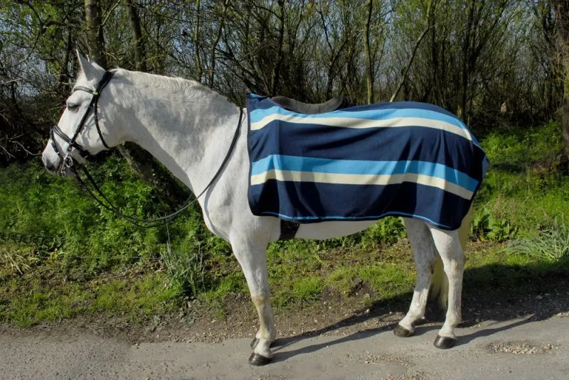 Rhinegold Fleece 3/4 Ride On Rug